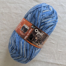 Load image into Gallery viewer, Sock yarn - Opal