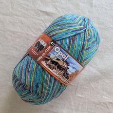 Load image into Gallery viewer, Sock yarn - Opal