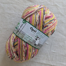 Load image into Gallery viewer, Sock yarn - Opal